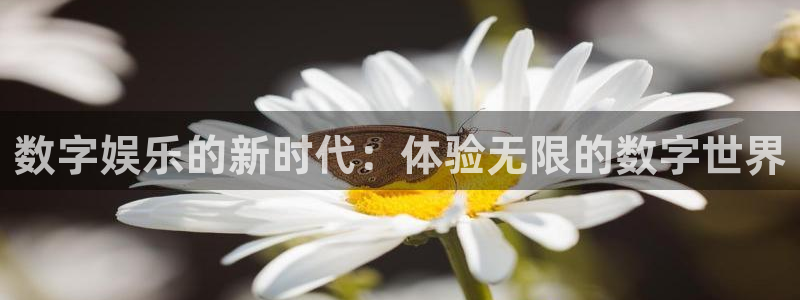 乐天堂fun体育平台总代理：数字娱乐的新时代：体验无限的数字世界