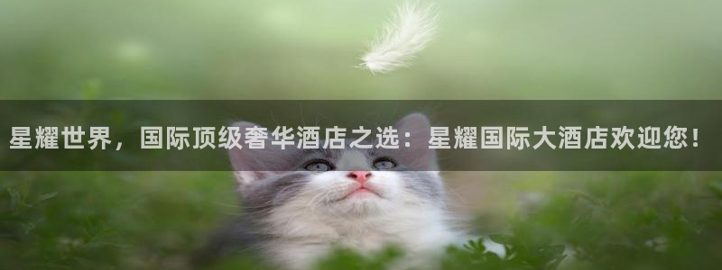 乐天堂fun2体育：星耀世界，国际顶级奢华酒店之选：星耀国际大酒店欢迎您！