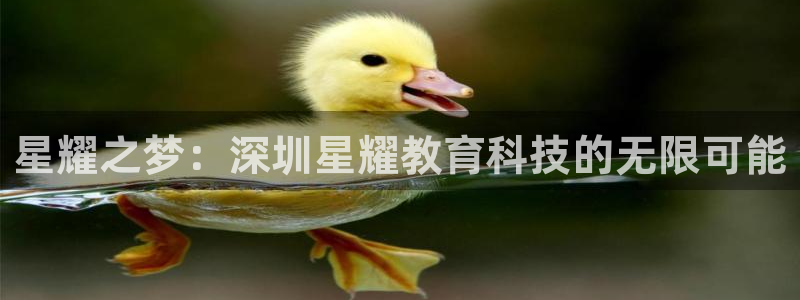 乐天堂fun体育3：星耀之梦：深圳星耀教育科技的无限可能