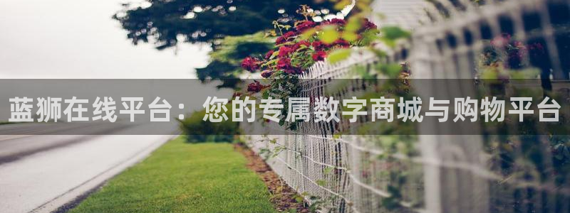乐天堂fun平台：蓝狮在线平台：您的专属数字商城与购物平台