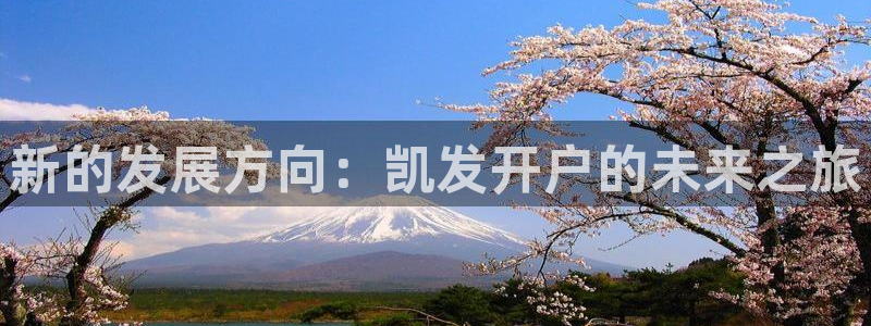 乐天堂fun平台总代理：新的发展方向：凯发开户的未来之旅