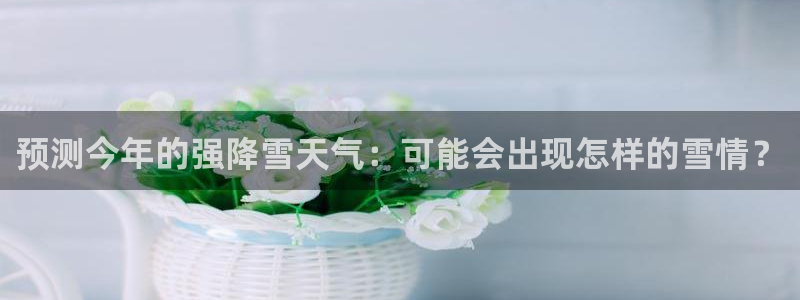 乐天堂fun集团股票：预测今年的强降雪天气：可能会出现怎样的雪情？