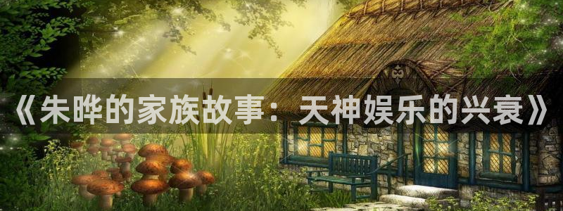 乐天堂fun3官网登录：《朱晔的家族故事：天神娱乐的兴衰》