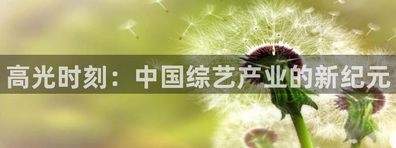 乐天堂fun包怎么样：高光时刻：中国综艺产业的新纪元