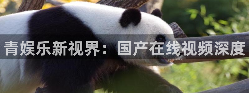 乐天堂fun能源：青娱乐新视界：国产在线视频深度