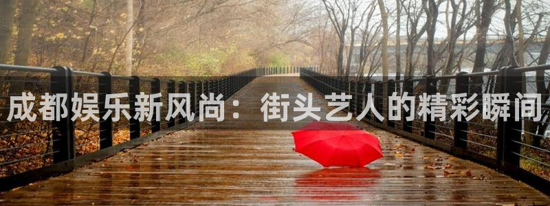 乐天堂fun登录：成都娱乐新风尚：街头艺人的精彩瞬间