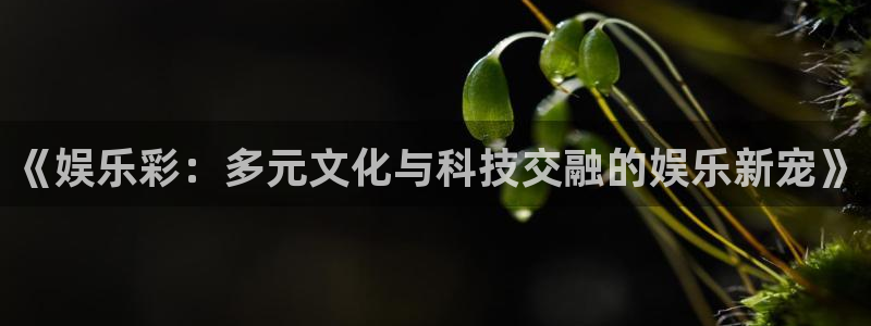 乐天堂fun3注册：《娱乐彩：多元文化与科技交融的娱乐新宠》