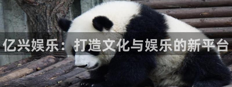 乐天堂fun体育代理申请流程：亿兴娱乐：打造文化与娱乐的新平台