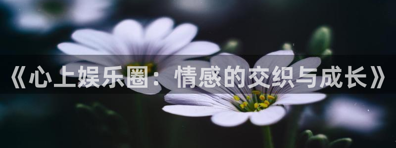 乐天堂fun代理：《心上娱乐圈：情感的交织与成长》