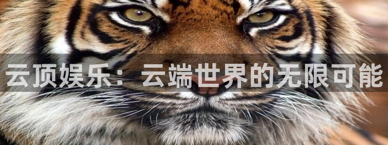 乐天堂fun体育官网：云顶娱乐：云端世界的无限可能