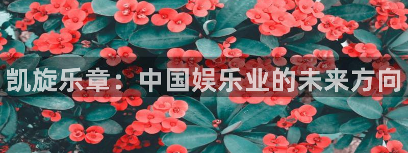 乐天堂fun环保：凯旋乐章：中国娱乐业的未来方向