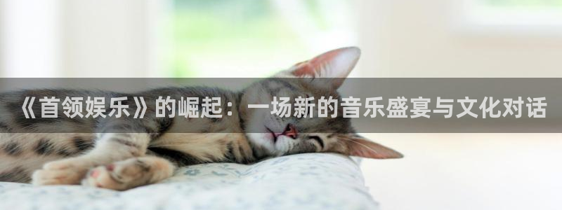 乐天堂fun体育老板是谁：《首领娱乐》的崛起：一场新的音乐盛宴与文化对话