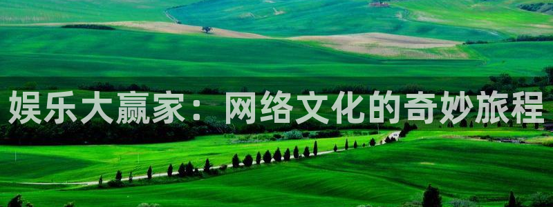 乐天堂fun电子有限公司：娱乐大赢家：网络文化的奇妙旅程