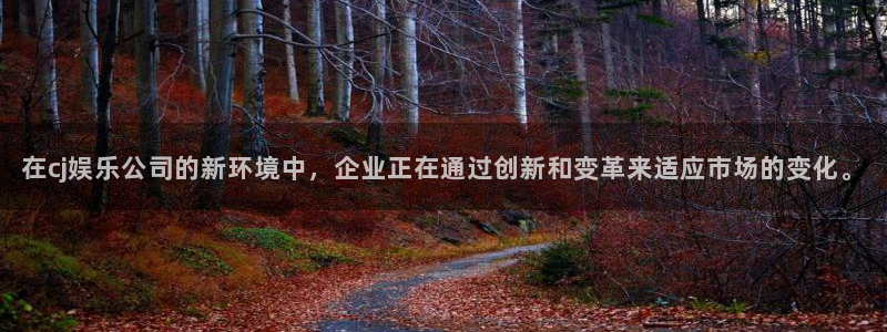 乐天堂fun体育凯捷平台注册：在cj娱乐公司的新环境中，企业正在通过创新和变革来