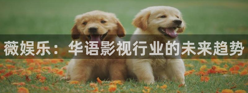 乐天堂fun平台总代理