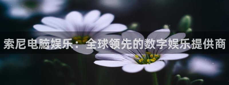 乐天堂fun官网
